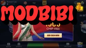 Teen Patti Vungo 3