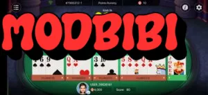 Osom Rummy 4