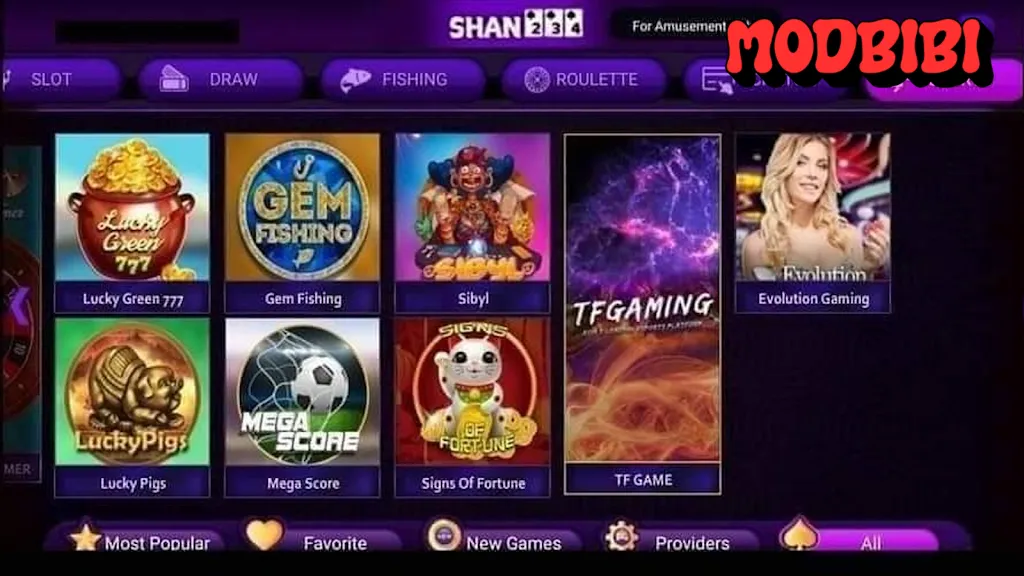 Shan234 4